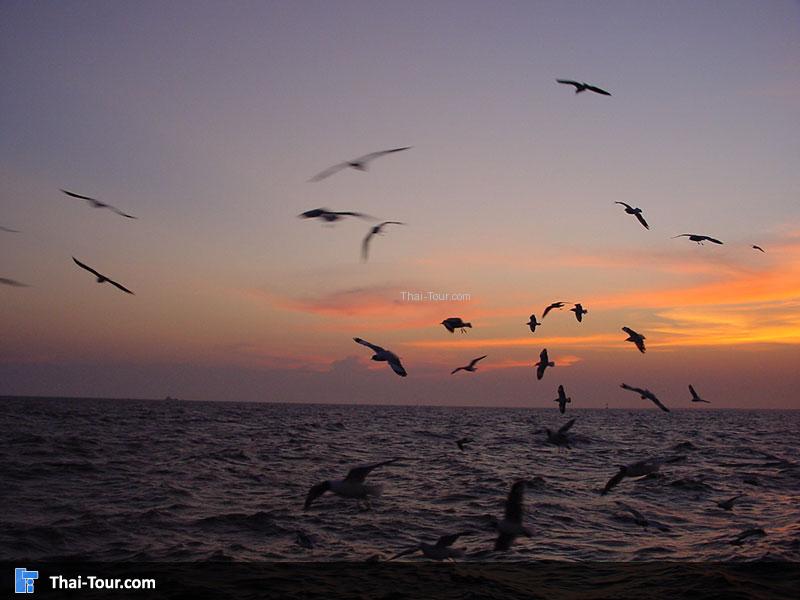 สถานตากอากาศบางปู