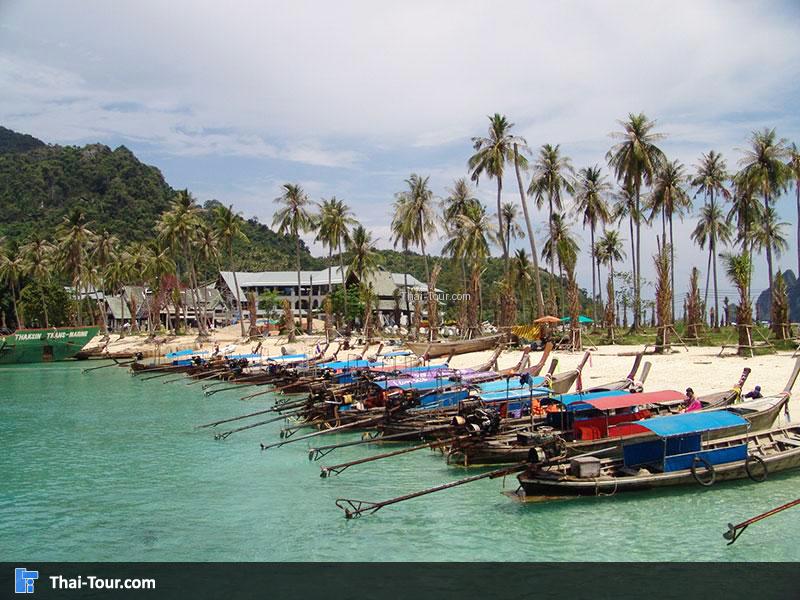 อ่าวต้นไทร