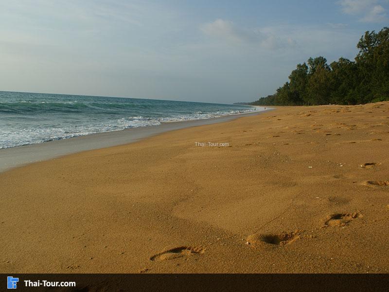 หาดไม้ขาว