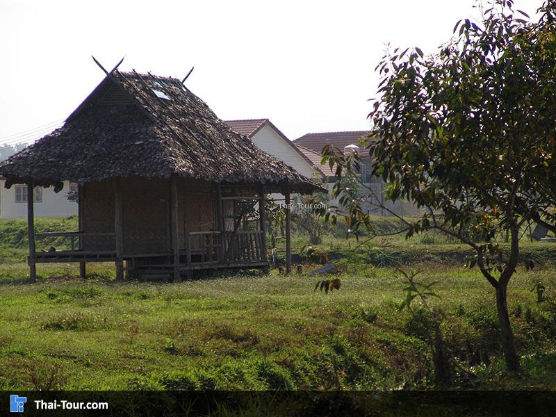 บ้านควายไทย