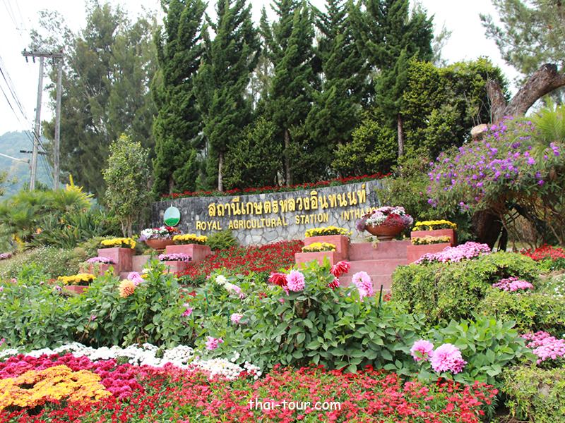 สถานีเกษตรหลวงอินทนนท์