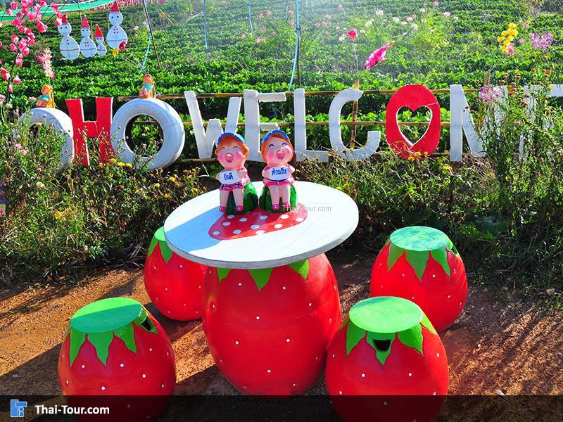 ไร่ โอ้โฮ สตรอเบอร์รี่