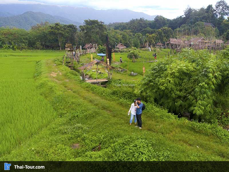 ร้านกาแฟบ้านไทลื้อ