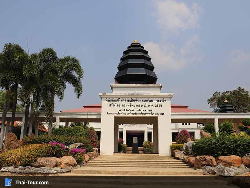 พิพิธภัณฑ์ไม้กลายเป็นหิน