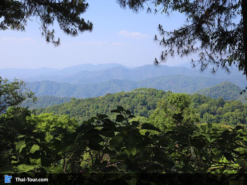 กิ่วฝิ่น