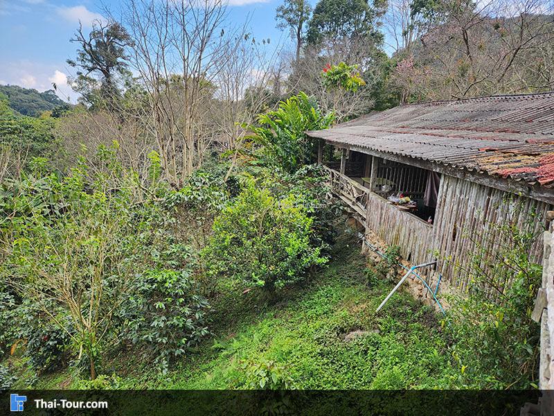 สถานีวิจัยเกษตรที่สูง ขุนช้างเคี่ยน