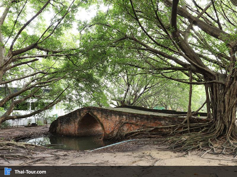 สะพานป่าดินสอ