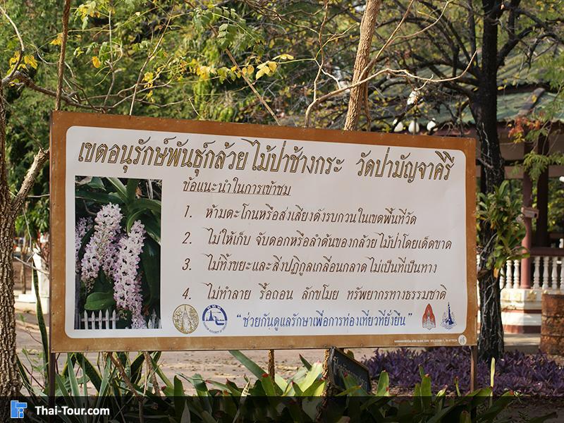 วัดป่ามัจจาคีรี