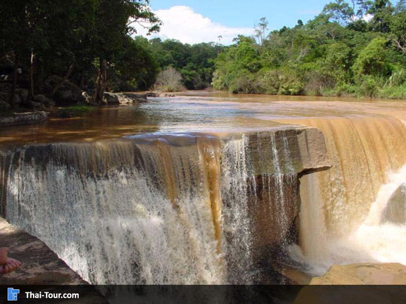 อุทยานแห่งชาติทุ่งแสลงหลวง