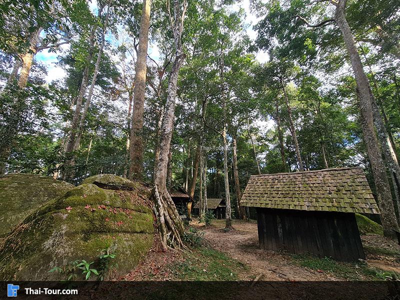 โรงเรียนการเมืองการทหาร