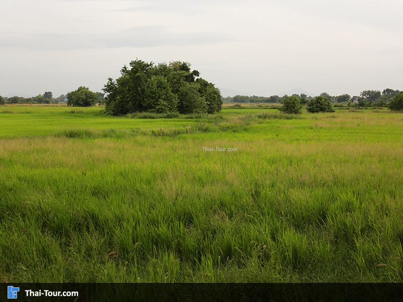 พระธาตุเมืองพระรถ ชลบุรี