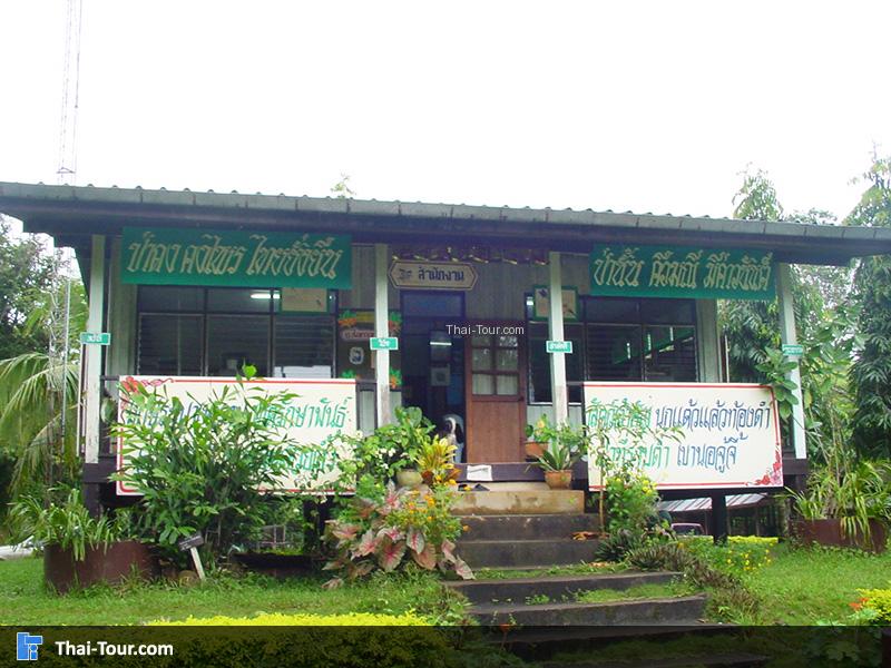 สำนักงาน-ที่ทำการ