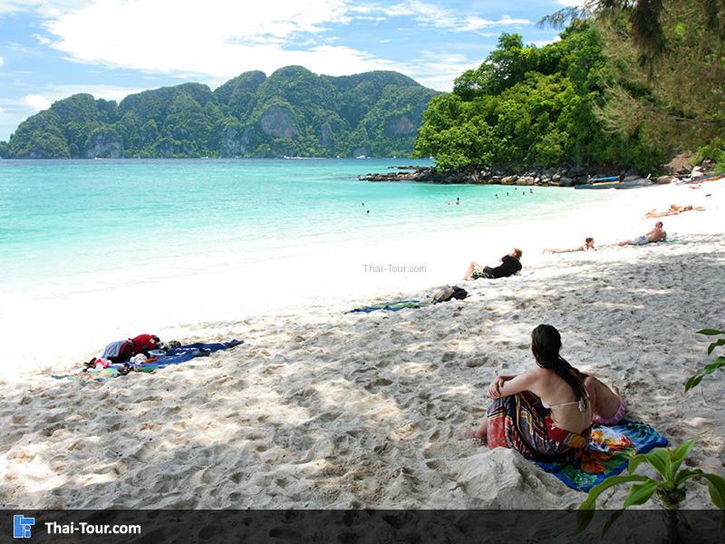 พีพีดอน ธรรมชาติบนชายหาด