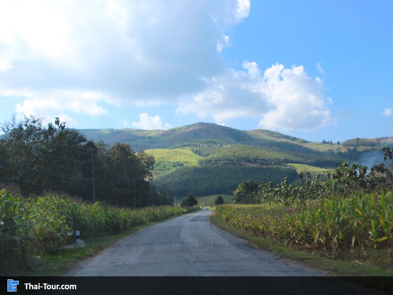 เส้นทาง เขียงของ-เชียงแสน