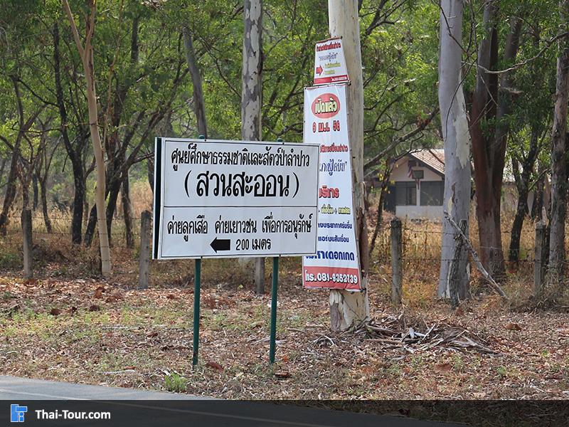 สวนสะออน