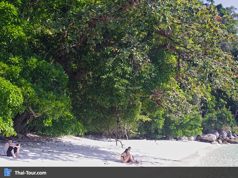 เกาะอาดัง