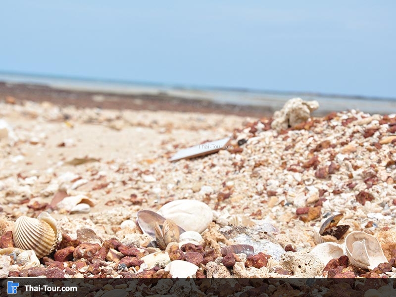 เกาะมันใน