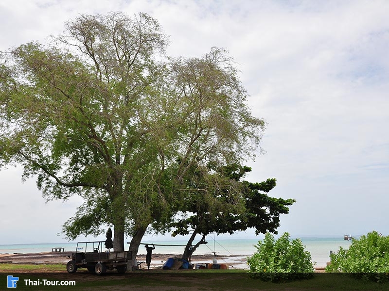 เกาะมันใน