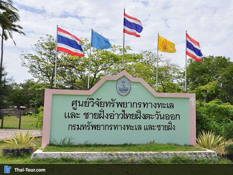 เกาะมันใน