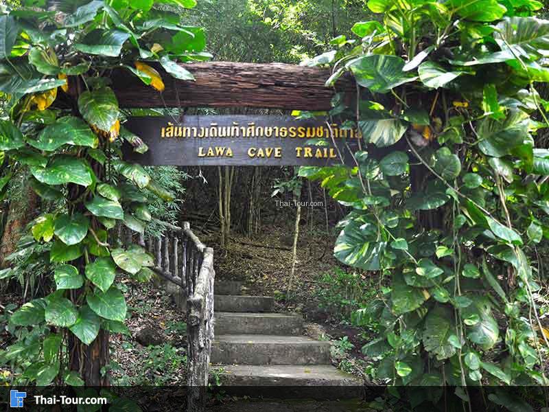 เส้นทางธรรมชาติมาก