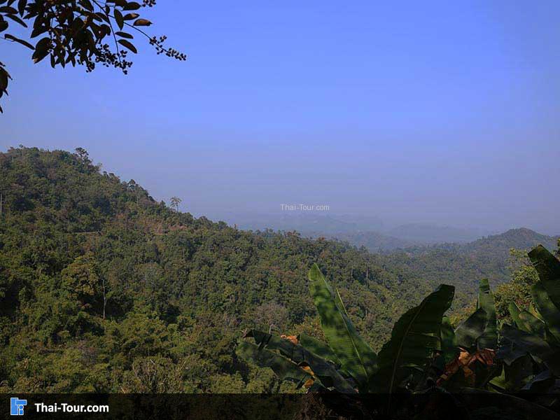 วิวท้องฟ้าสลับต้นไม้