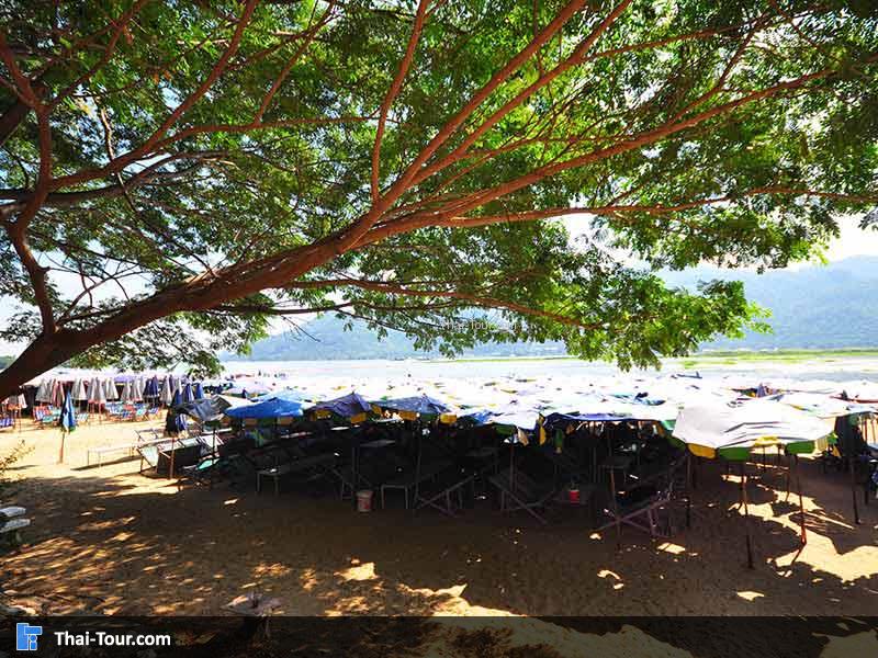 จุดบริการนักท่องเที่ยวเก้าอี้ผ้าใบ