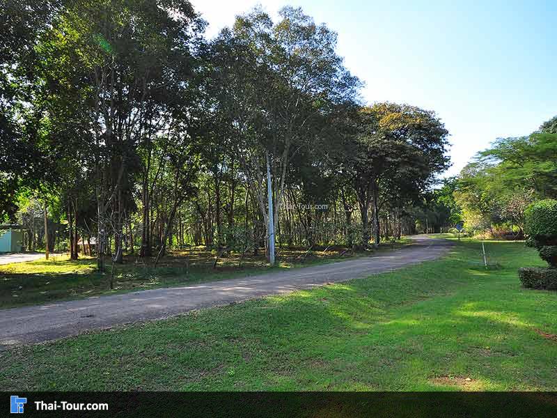 บรรยากาศร่มรื่น