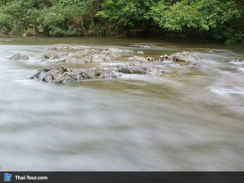 บรรยากาศที่ล้อมรอบด้วยวิวต้นไม้