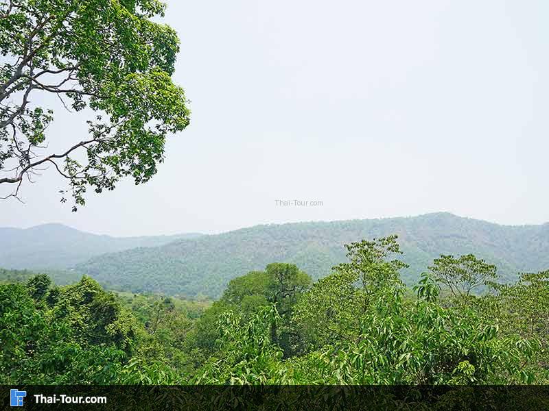 เดินไปขึ้นไปชั้นสูงๆ จะเห็นวิว สวยๆ