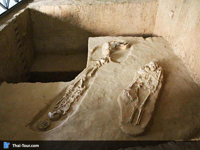 บรรยากาศ จะร่มรื่นมาก