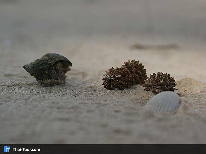 ชายขาวละเอียดมาก