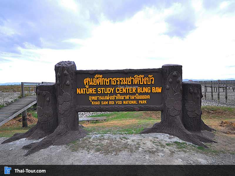 ป้ายด้านหน้าบึงบัว