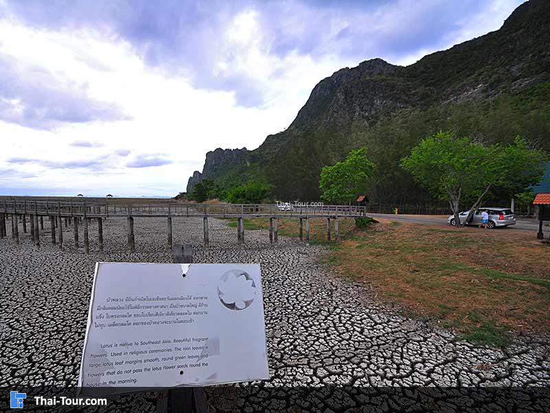 ป้ายอ่านระหว่างเดินเล่น