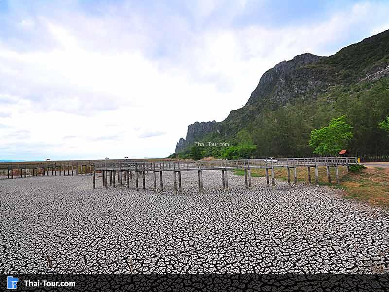 ฝนไม่มตกมานานมากเลยเป็นแบบนี้