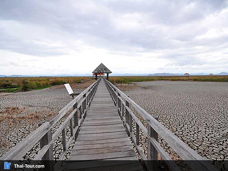 สะพานเดินเล่น