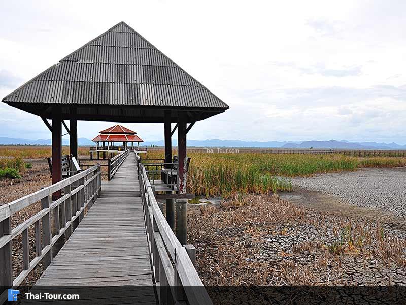 ศาลาพัก เหมาะสำหรับนั่งเล่นชิวๆ