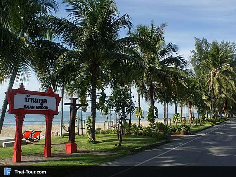 ด้านหน้าชายหาดบ้านกรูดกับวิวสวยๆ กับต้นมะพร้าว