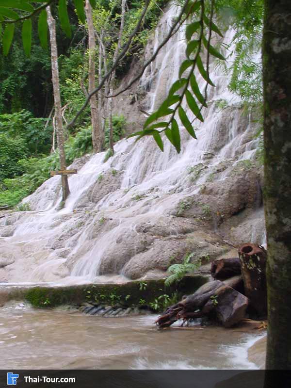 มุมด้านนี้ก็สวย  ถ่ายกับใบไม้