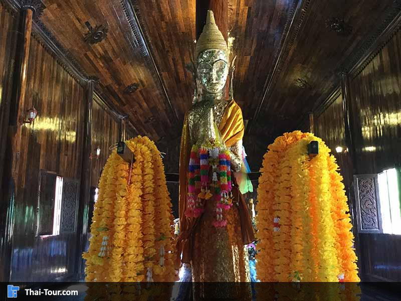 กราบไหว้ บูชา หลวงปู่ไทร