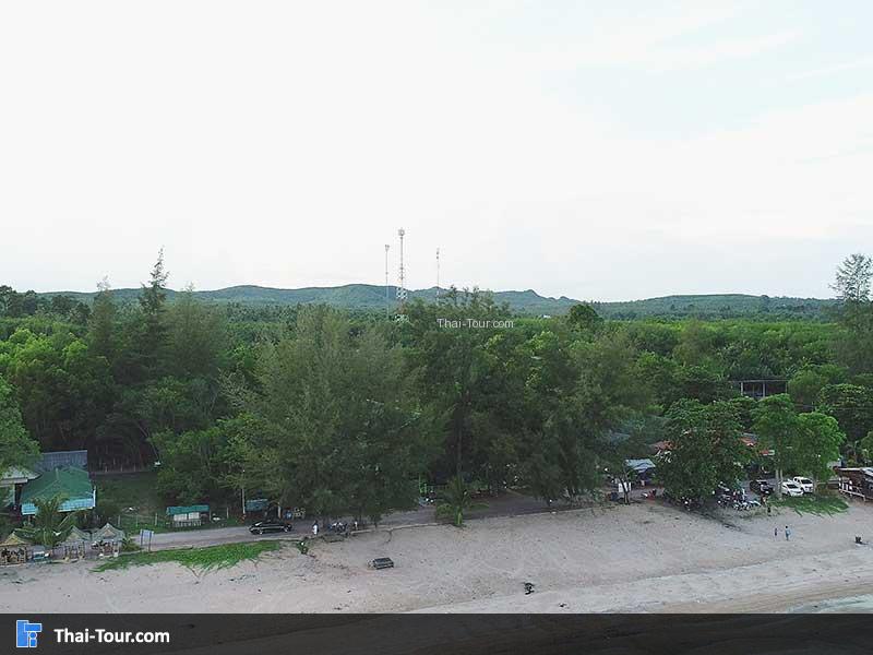 หน้าหาดทราย วิวด้านหลังเป็นต้นไม้