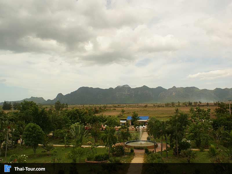 บรรยากาศรอบๆ วิวภูเขา