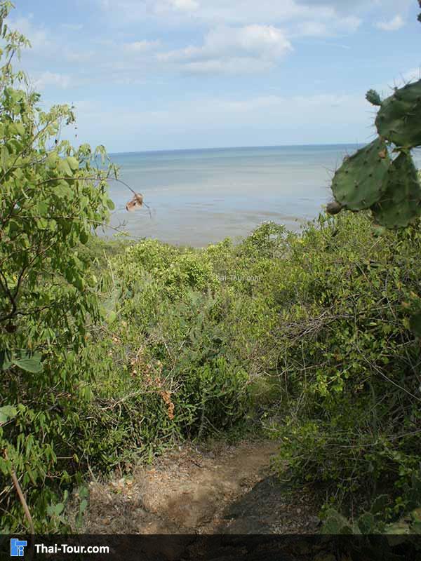 ถ้ำไทร เดินขึ้นไปจะเห็นวิว