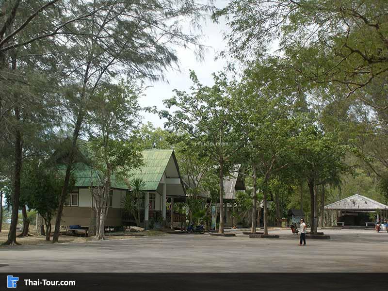 บริกาข้อมูลนักท่องเที่ยว