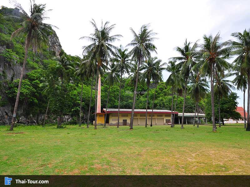 วัดเขาแดง วิวต้นมะพร้าว 