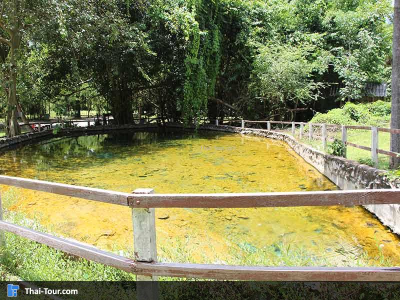 ด้านข้าง มีราวให้เกาะ