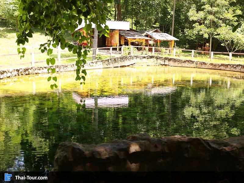 บรรยากาศ บ่อน้ำพุร้อนหนองหญ้าปล้อง