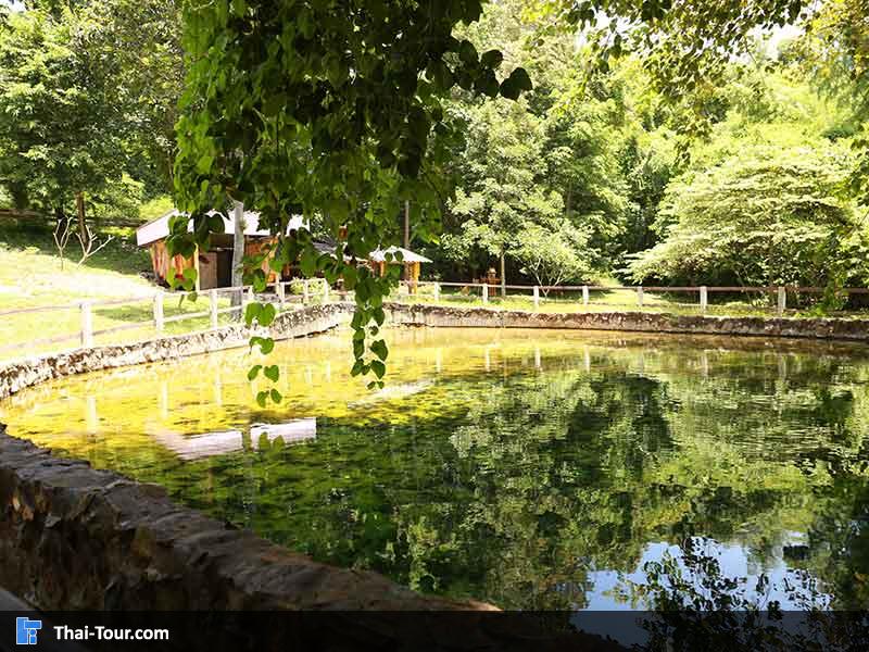 มุมสวยๆ บ่อน้ำพุร้อนหนองหญ้าปล้อง