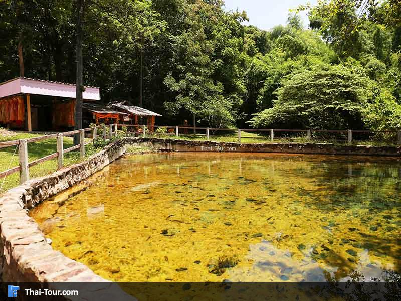 จุดนี้ควรระมัดระวังด้วย