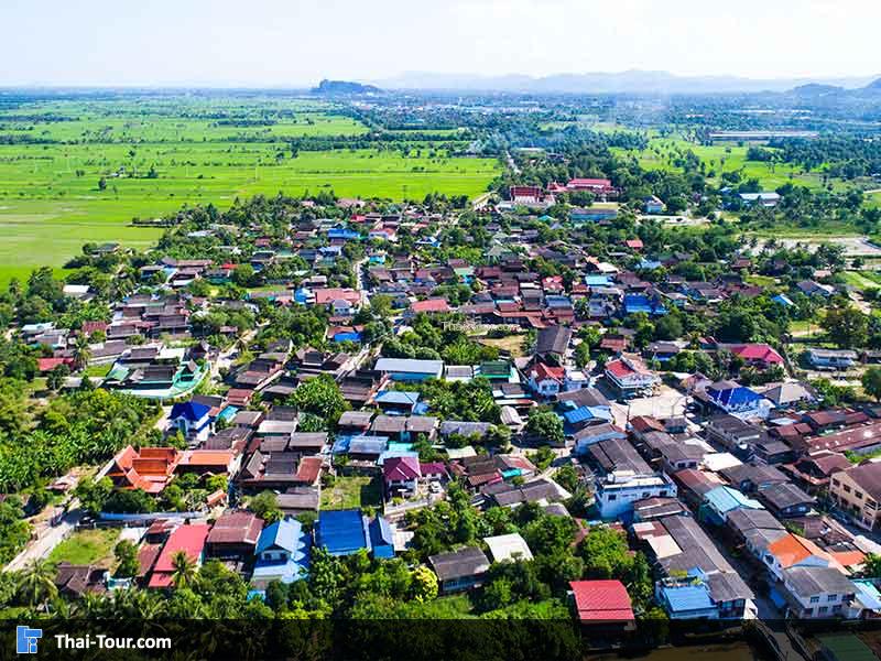 วิวบ้าน ต้นไม้เขียวๆด้านบน