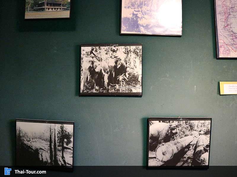 ภาพถ่ายในยุคนั้น